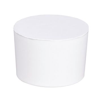 Rezervă pentru dezumidificator Wenko Drop, 1 kg